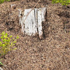 23-04-30 10-49-39 5230